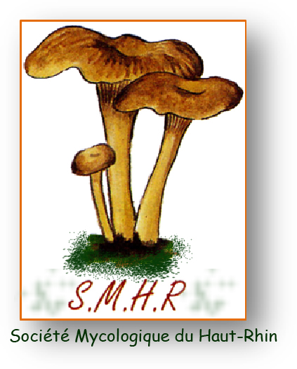 Société Mycologique du Haut-Rhin (SMHR)