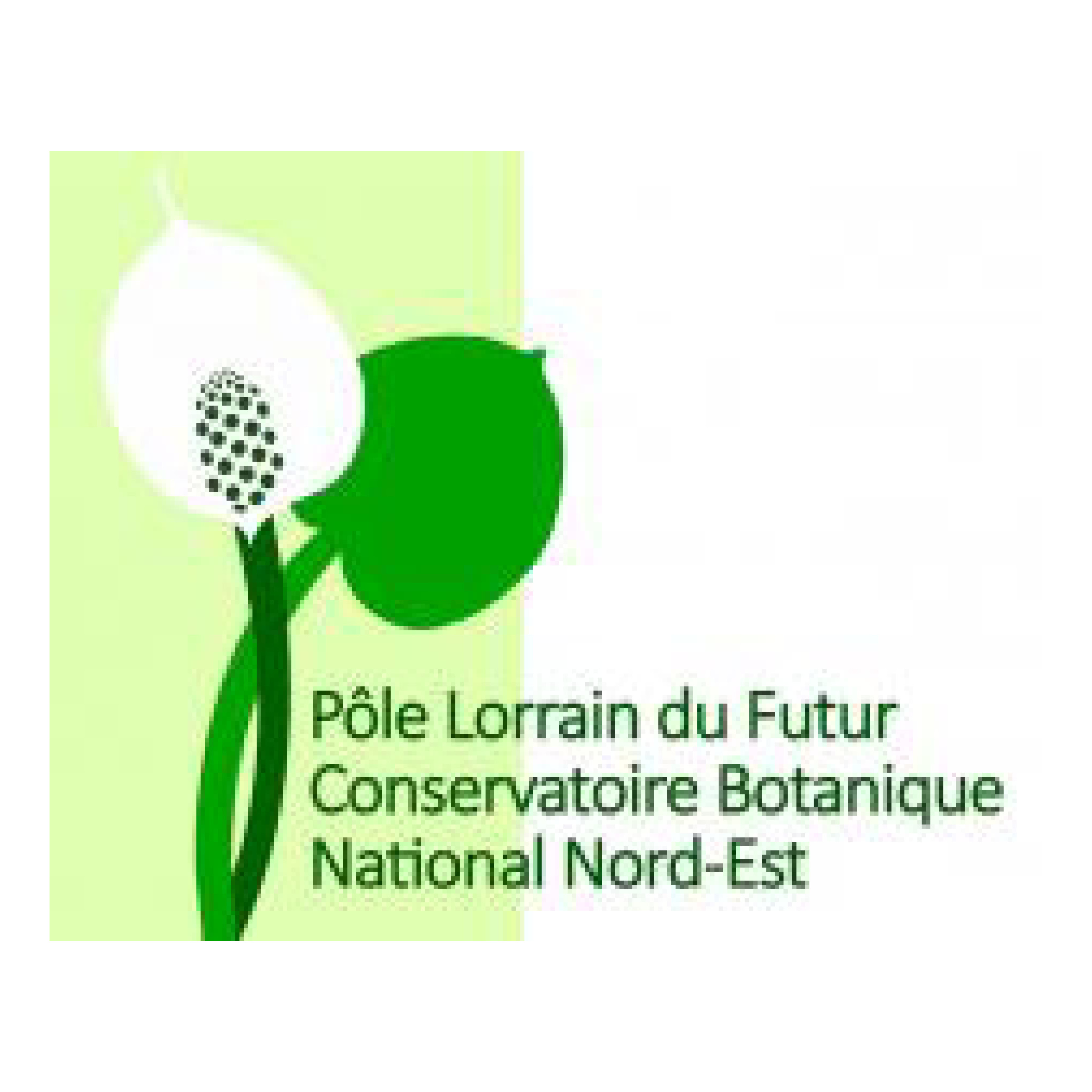 Pôle Lorrain du futur Conservatoire Botanique National Nord Est