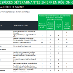 Liste des espces determinantes znieff en region grand est