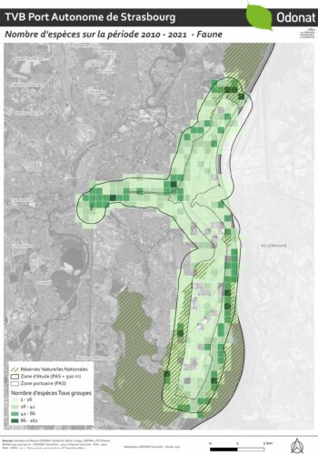 Carte de bilan de la connaissance naturaliste sur le site d’étude