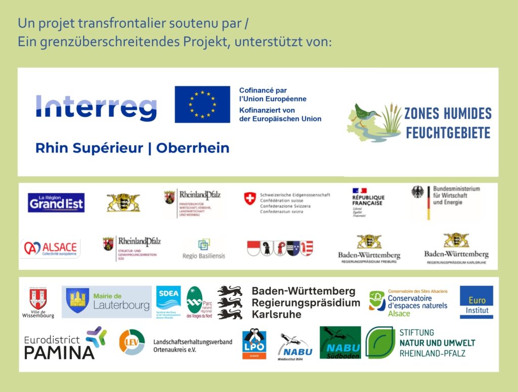 Bandeau logos-interregzoneshumides-odonatgrandest