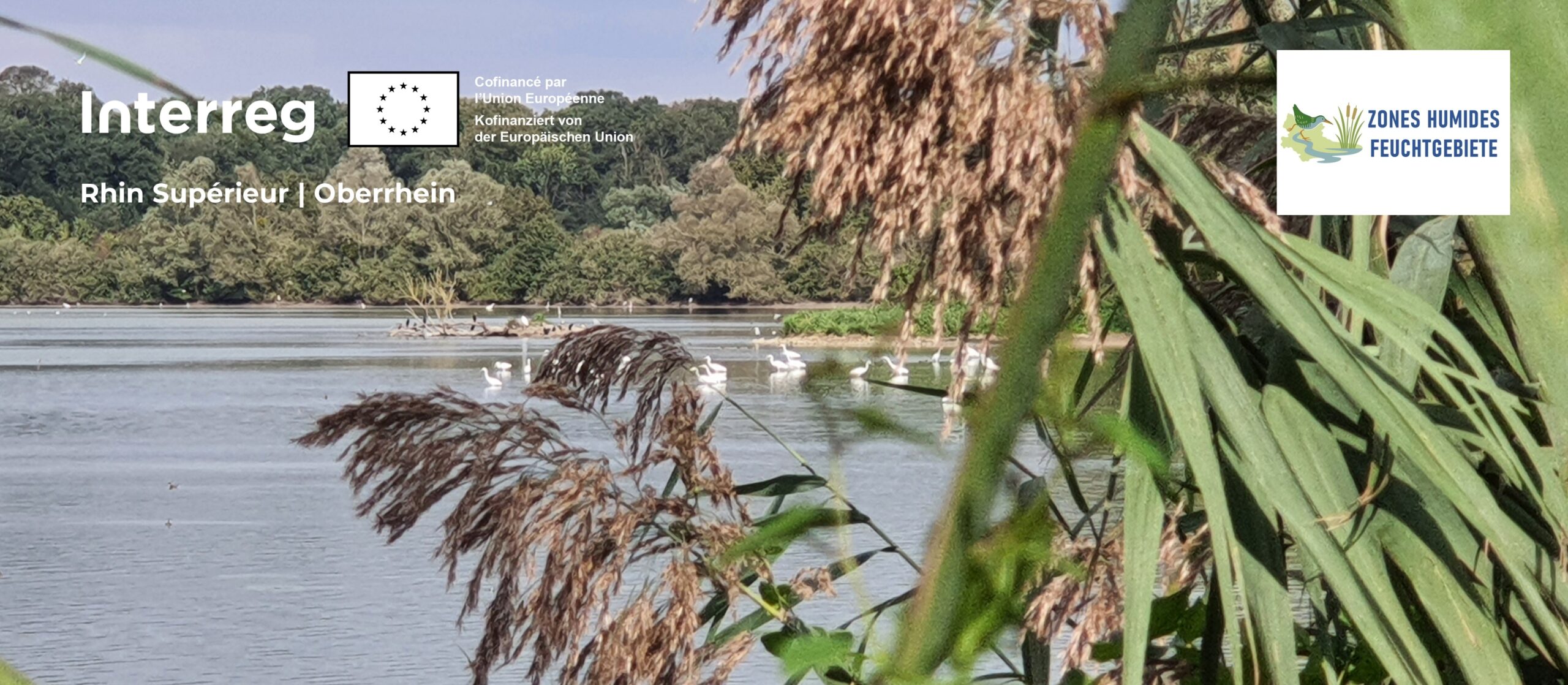 Bandeau site-page_interreg-zh-odoge