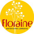 Floraine