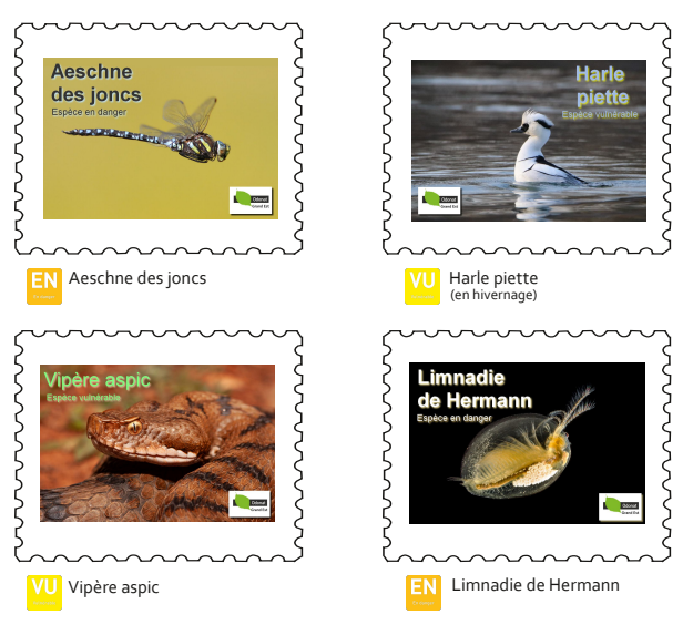 Carnet 1 - Timbres collection trésors fragiles du grand est 2026 - odonat club philatélique bitche