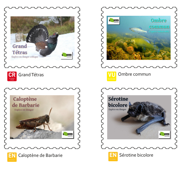 Carnet 2 - Timbres collection trésors fragiles du grand est 2026 - odonat club philatélique bitche