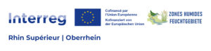 Logo-INTERREG_ZH_complet_FRDE_2