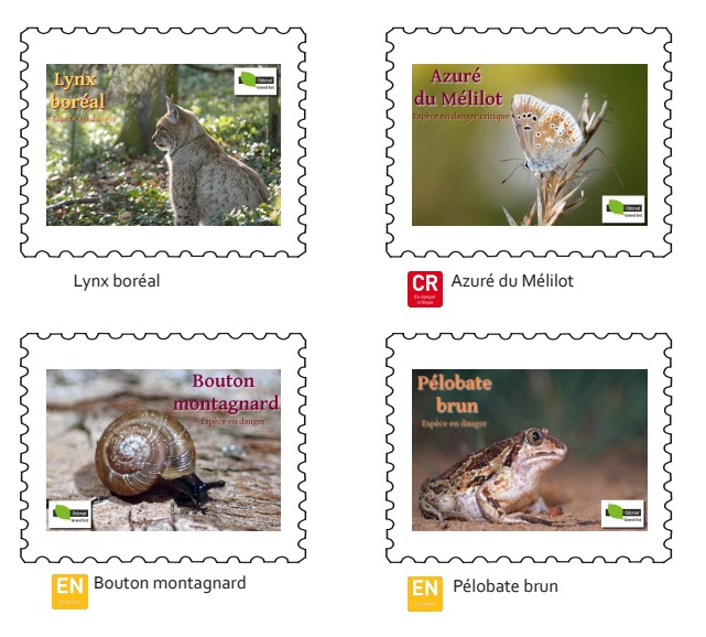 Carnet-3-Timbres-collection-tresors-fragiles-du-grand-est-2026-odonat-club-philatelique-bitche2